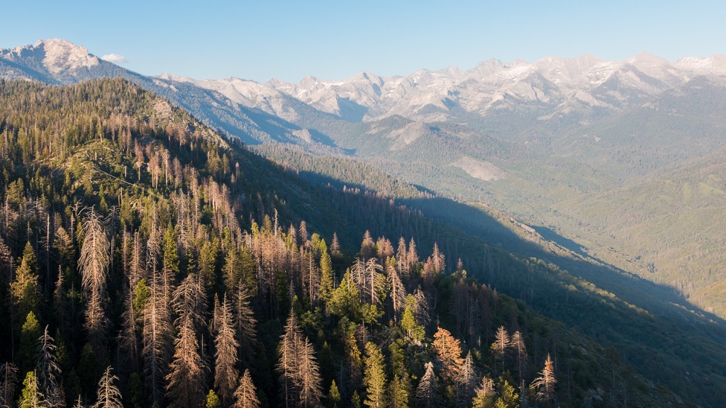 Aussicht vom Moro Rock