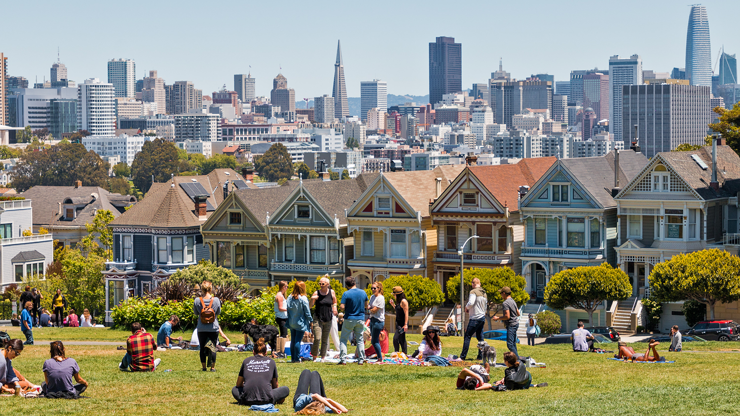 Painted Ladies