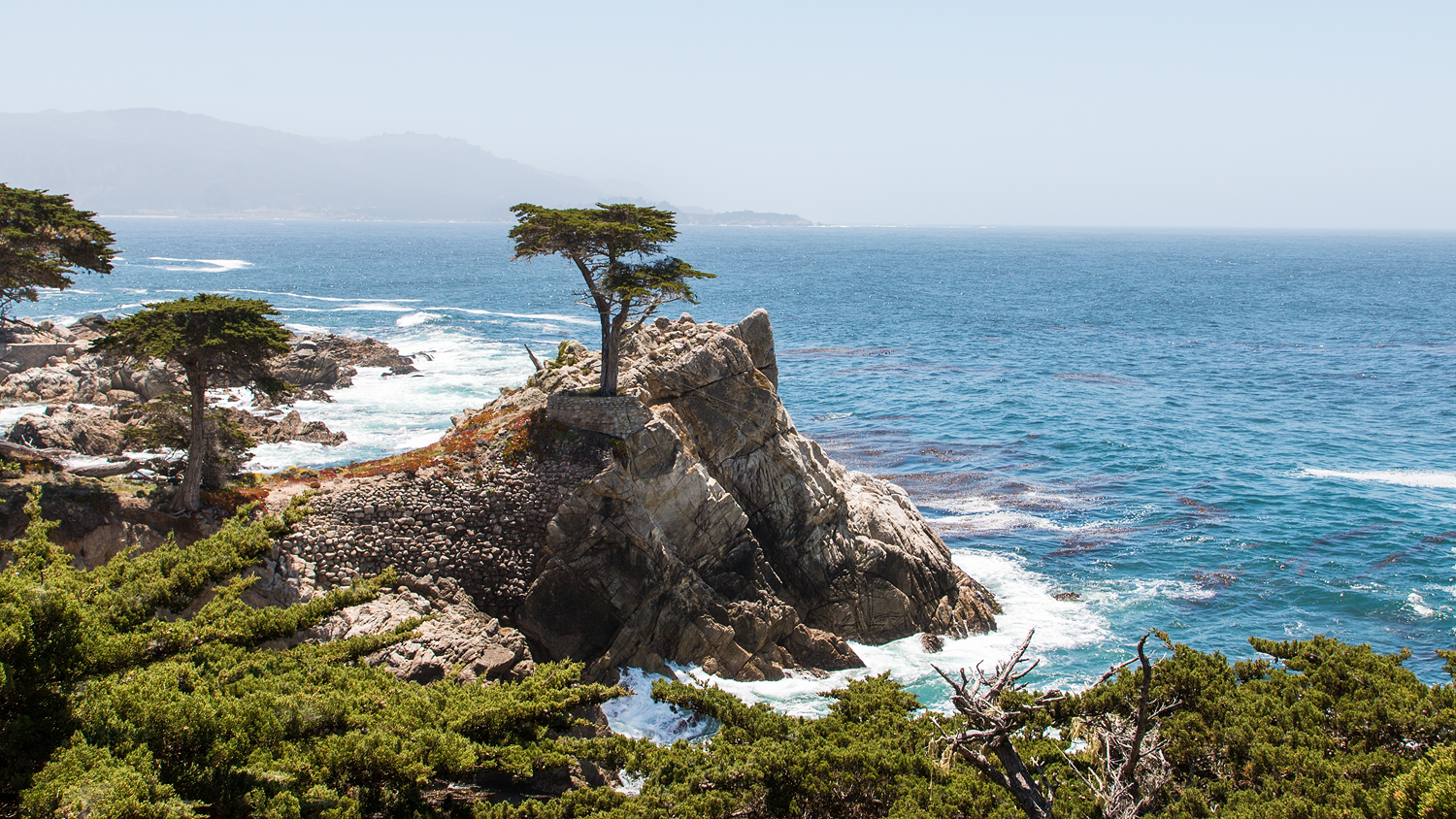 Die Lone Cypress an der Steilküste