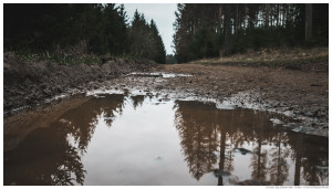 Pfützenspiegelung an der Silberkuhle bei Korbach