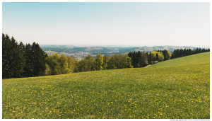 Spaziergang im Sauerland: Naturweg Kahler Pön bei Medebach-Düdinghausen und Willingen-Usseln