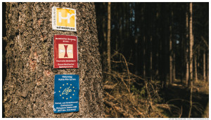 Spaziergang im Sauerland: Naturweg Kahler Pön bei Medebach-Düdinghausen und Willingen-Usseln