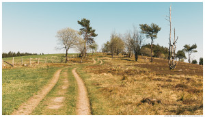 Spaziergang im Sauerland: Naturweg Kahler Pön bei Medebach-Düdinghausen und Willingen-Usseln