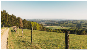 Spaziergang im Sauerland: Naturweg Kahler Pön bei Medebach-Düdinghausen und Willingen-Usseln