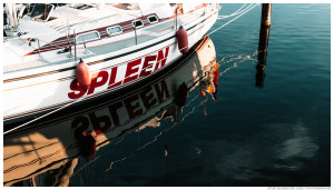 Segelschiff "Spleen" in der Marina von Großenbrode