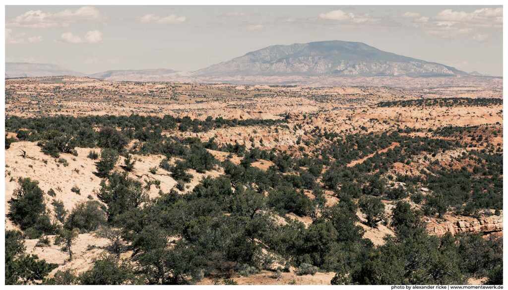 Blick auf den Navajo Mountain